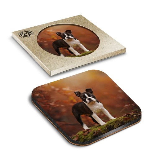 Boxed square coasters - x,