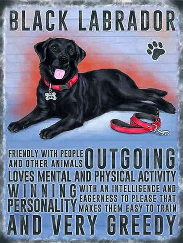 Black labrador aluminium - black,