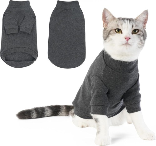 Cat jumper fleece kitten - cat,