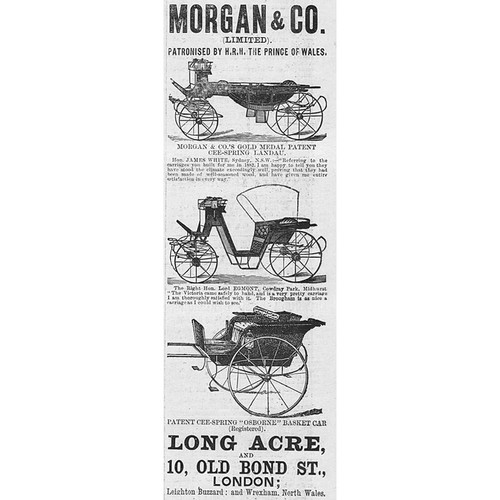 Morgan horse carriages - morgan, &