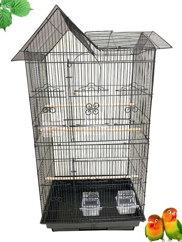 Large bird house flight - bird,