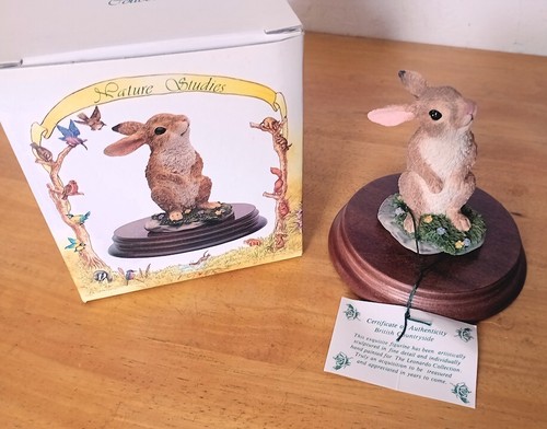 New and boxed - boxed, leonardo