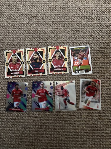 Nottingham forest card - nottingham, bundle