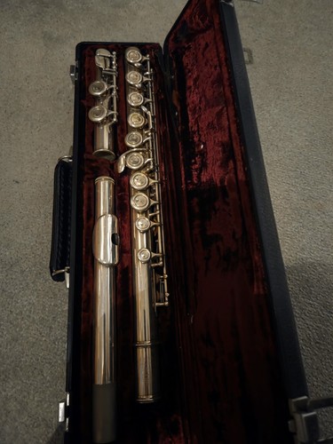 Flute musical instrument with - musical,