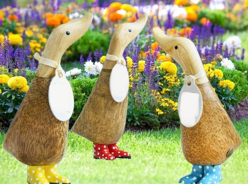 Dinky ducks with - ducks,