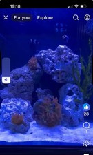 Nano Cube Marine Tank Aquarium