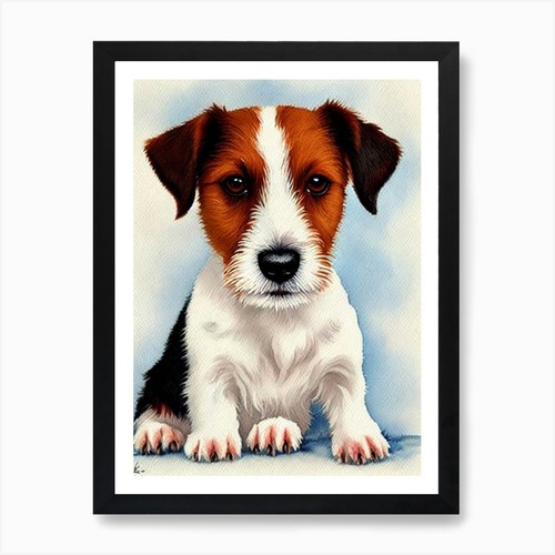 Parson russell terrier - russell,