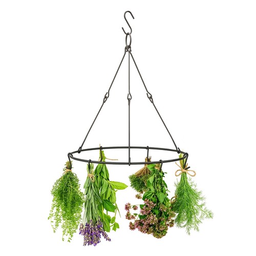 Hanging herb drying - hanging,