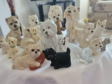 collection of westie dog