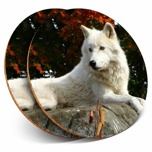 Coasters arctic white - 2, x