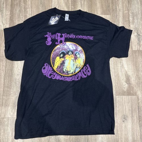 The jimi hendrix experience - the,