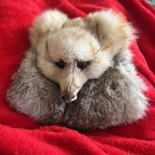 Vintage Taxidermy clutch Bag