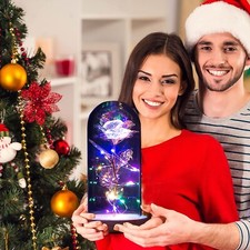 QUNPON Forever Rose in Glass Dome, Beauty and the Beast Rose with Light-Opened