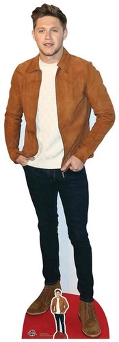 Niall horan suede jacket - horan,