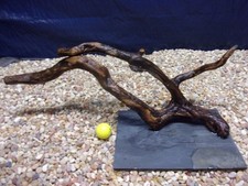 X-Large Driftwood Mounted on
