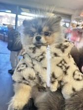 Louis Vuitton Dog Coat S,M,L