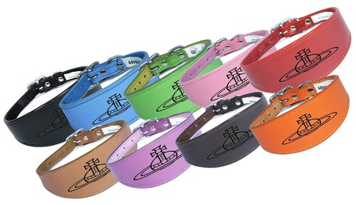 Dog collar italian greyhound - dog,