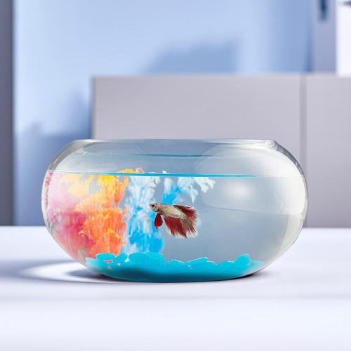 Gallon glass fish bowl - 2,