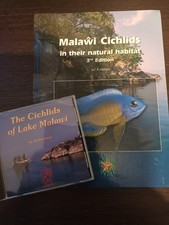 MALAWI CICHLIDS IN THEIR