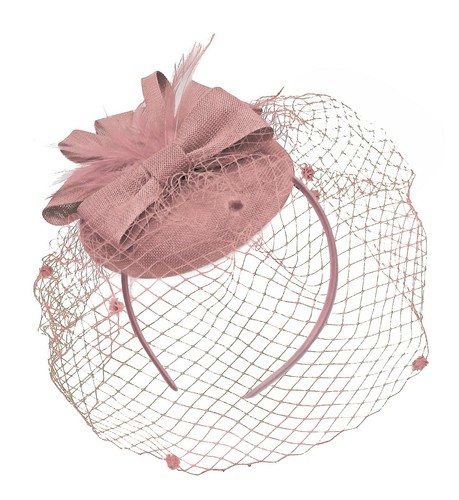Round pillbox birdcage veil - round,