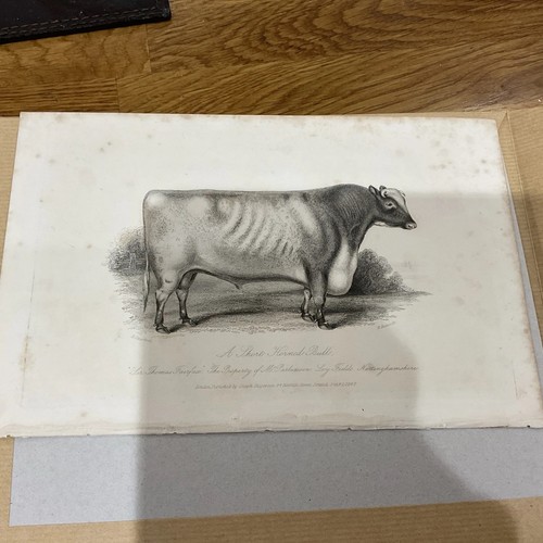 Farm print 1840 sir thomas - 1840,