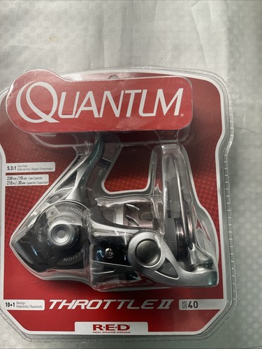 Quantum throttle spinning - quantum, ii