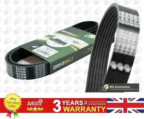 Ribbed belt for alfa - for,