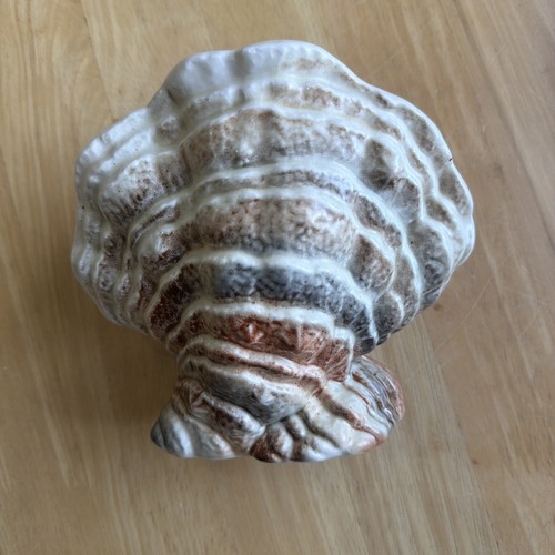 Vintage sylva clam - c, shell