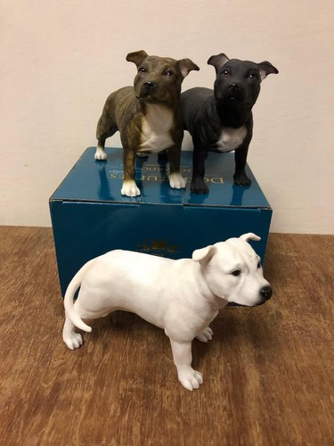Brown staffordshire bull - staffordshire,