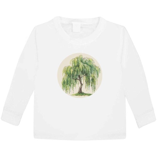 Weeping willow tree - 'weeping,