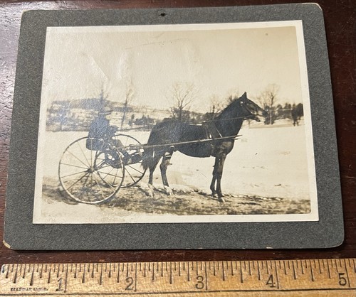 Photo board horse drawn - photo, on
