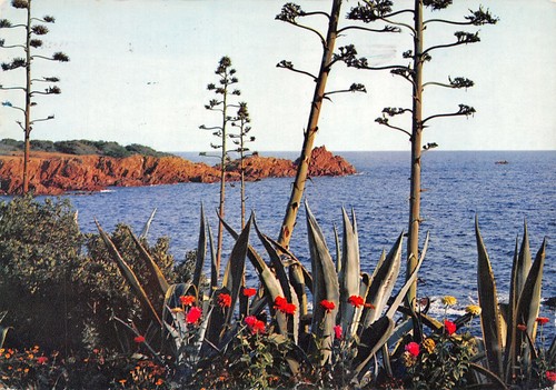 Cote azur l - 06-cote, d