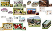 Placemats & Coasters Set Dinning Table Serving 4X placemat 4X Coaster Cork Back