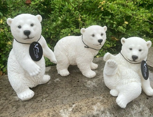 Polar bears set vivid - polar, of