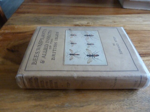 New naturalist interest - naturalist,