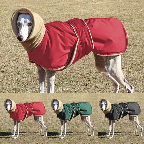 Greyhound coat dog - coat,
