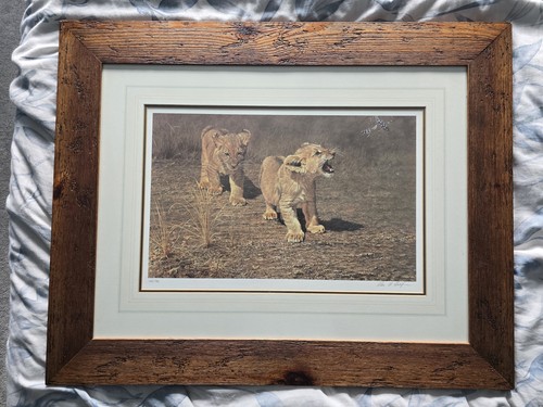 Alan hunt lion - lion, down