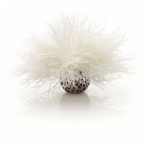 Biorb oase white sea lily - white,