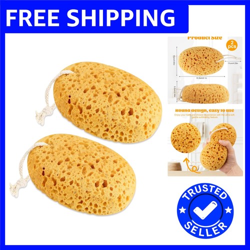 Eco friendly honeycomb sea - eco-friendly,