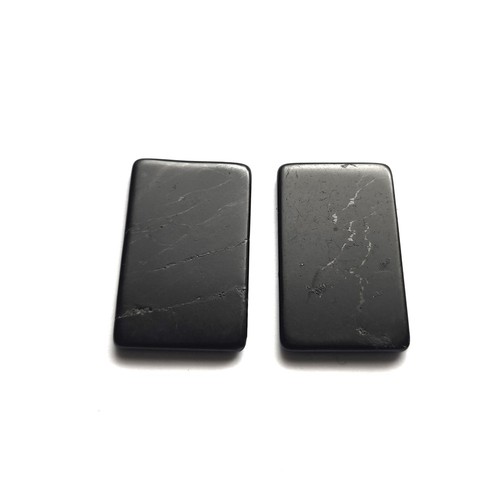 Shungite phone plate - x,