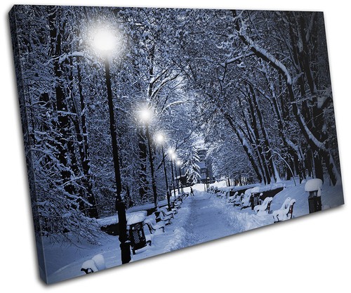 Snow scene park romantic walk - scene,