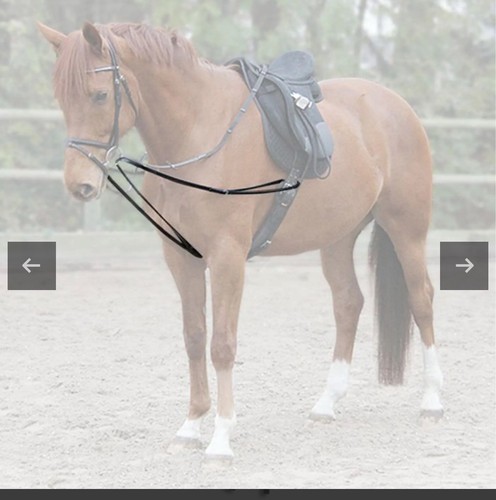 Line draw reins black - line,