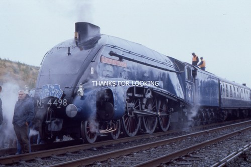 S15 35mm slide - 35mm, 4498