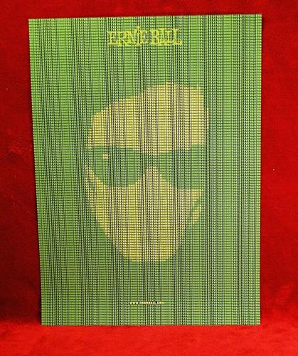Steve vai ernie ball matrix - steve,