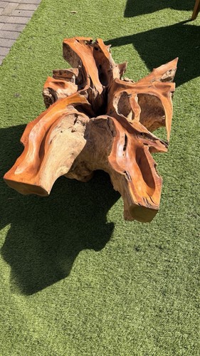 Solid wooden teak root - wooden,