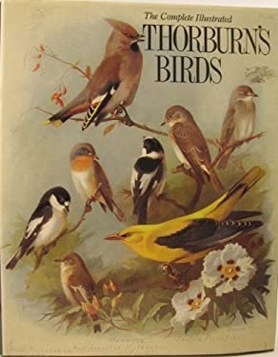 Thorburn birds archibald - thorburn's,