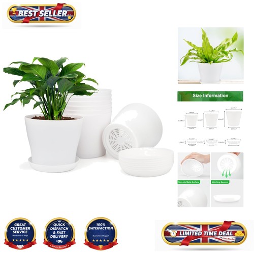 Compact white flower pots - compact,