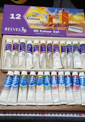 Reeves oil paint - paint, x12