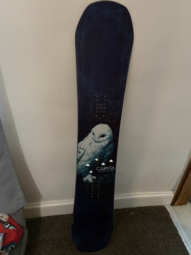 Capita birds feather - capita,