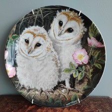 Baby Owls Decorative Collector